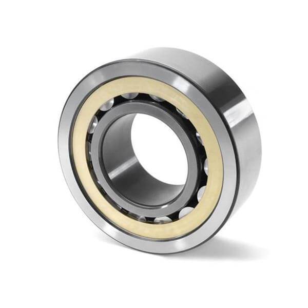 FAG N313Em6gM1m6gC3 Cylindrical Roller Bearing