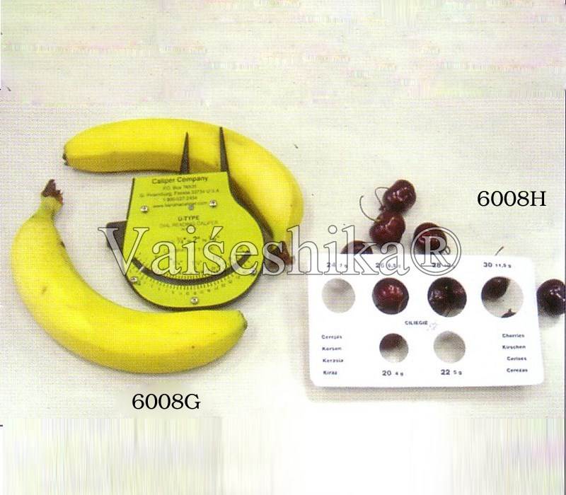 6008 G